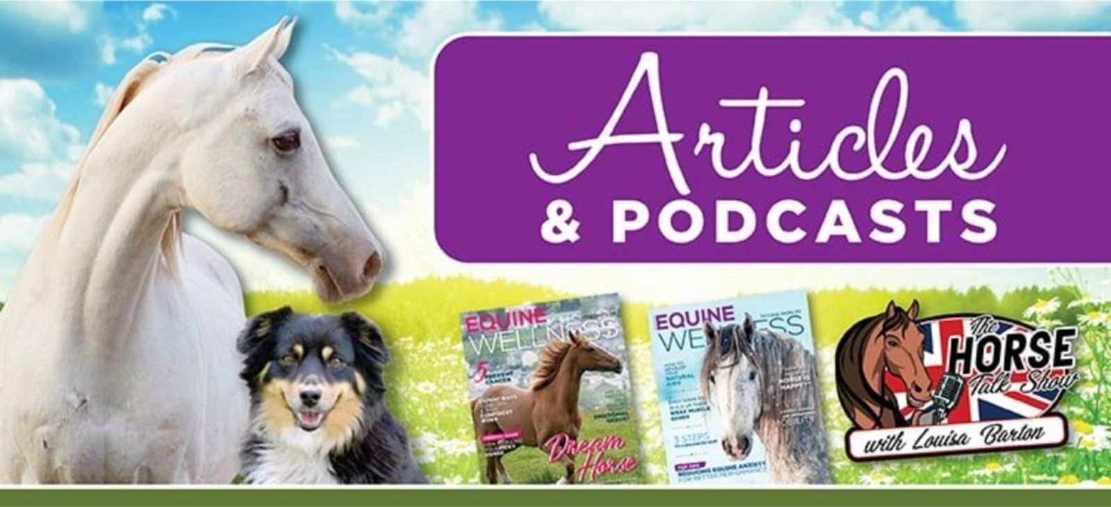Articles & Podcasts on Natural Health for Horses