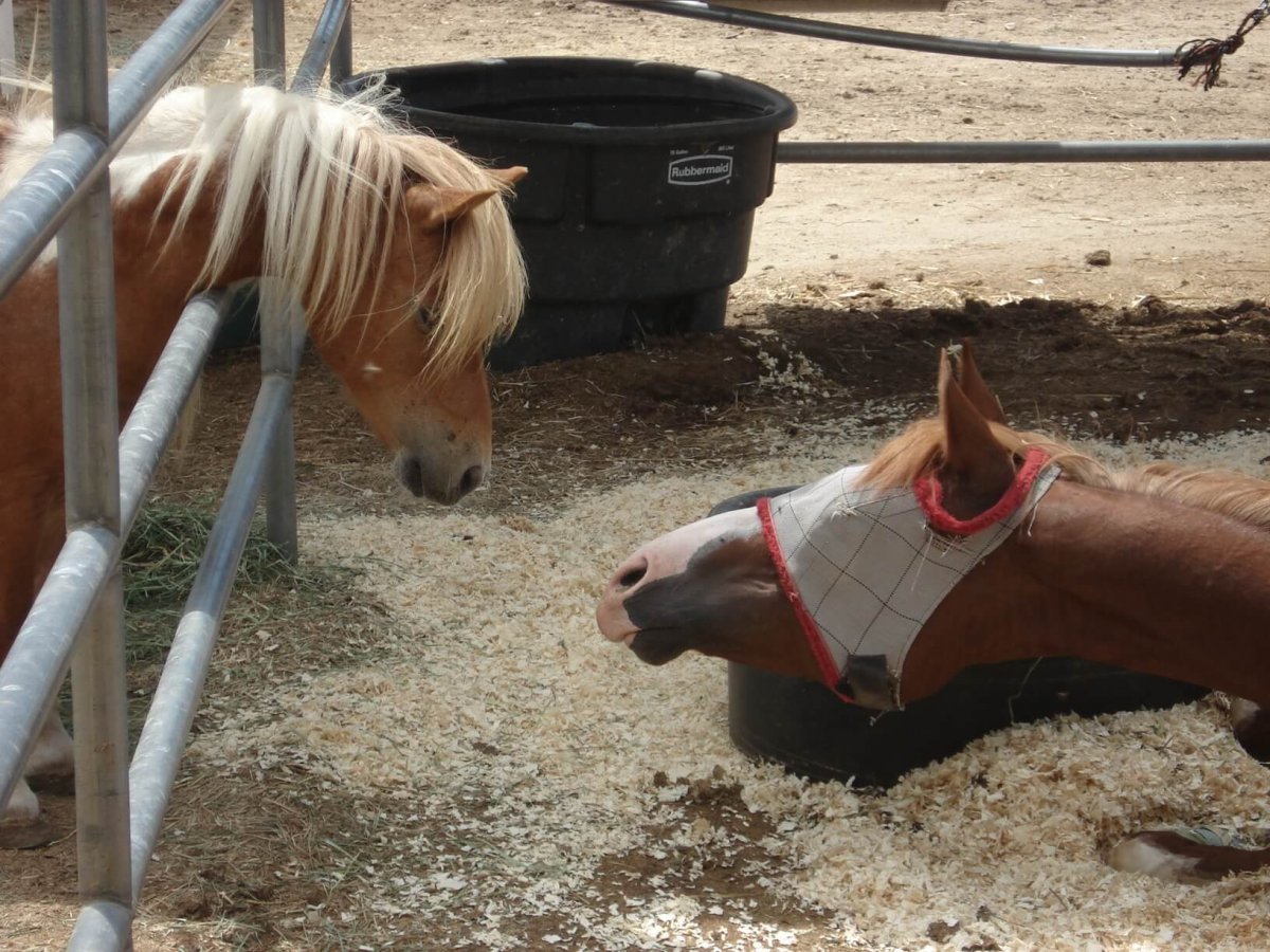 The day they met for the first time