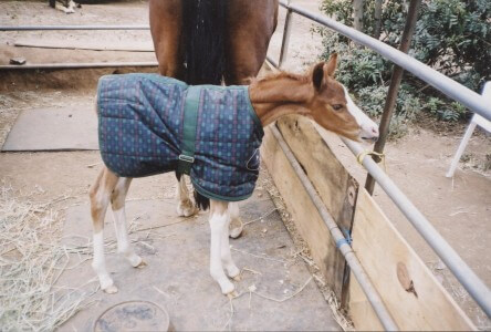 In her first baby blankie