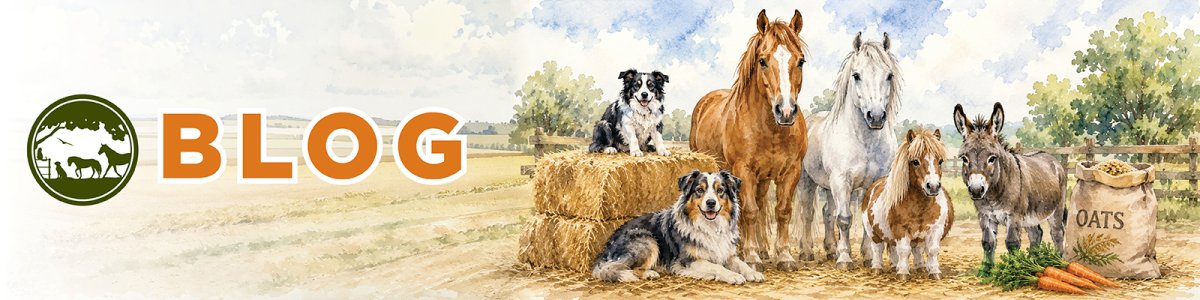 Earth Song Ranch Blog