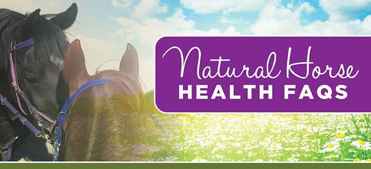 FAQs on Natural Horse Health