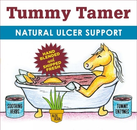 Natural Ulcer Support for Horses - With Aloe Vera Leaf Powder Tummy Tamer for Horses - Natural Ulcer Support with Aloe